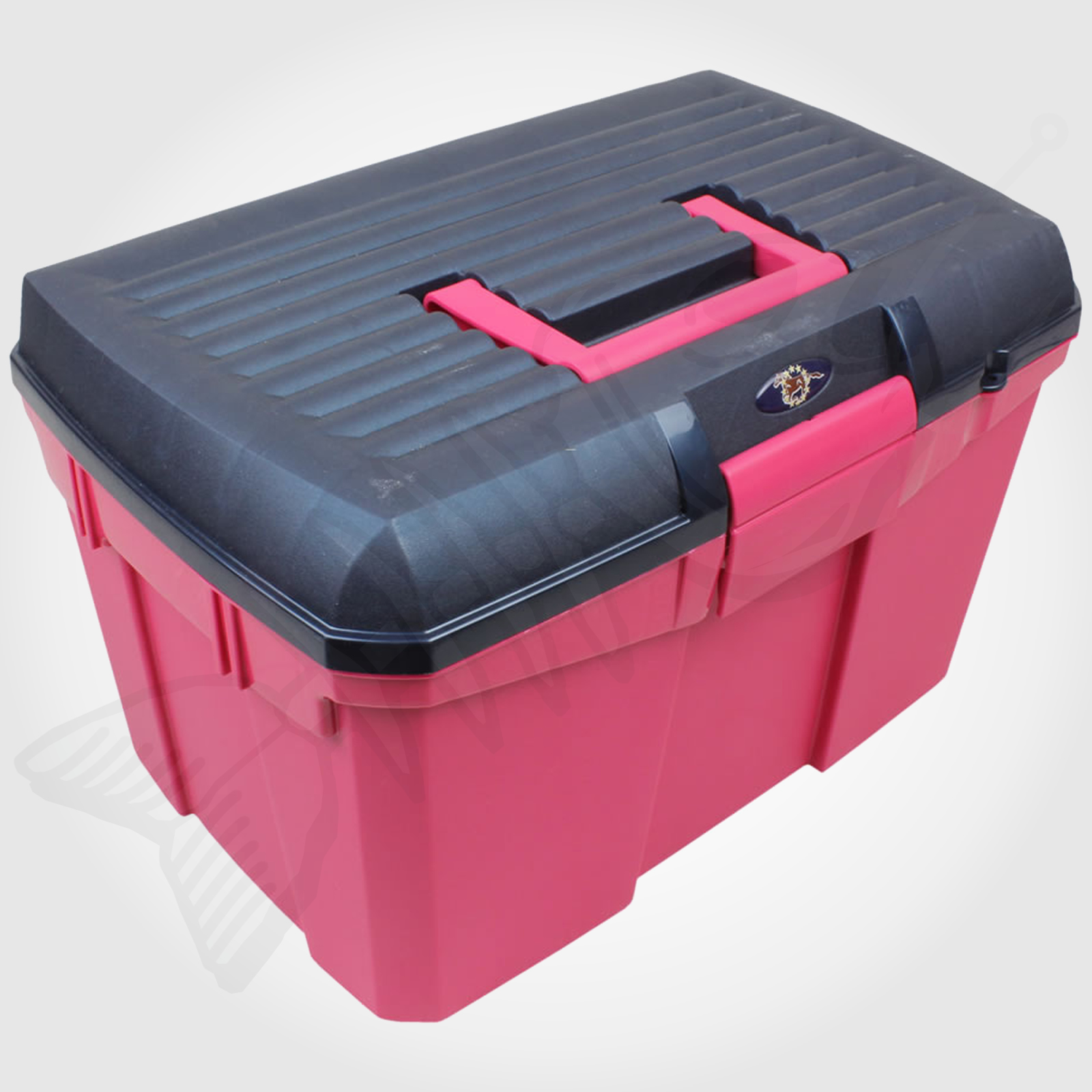 Horse / Pony Stable Kit Tack Box Pets / Grooming Tool Rasp/Blue Equestrian