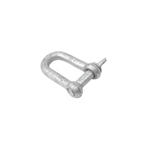 10mm Galvanised D Link Shackle