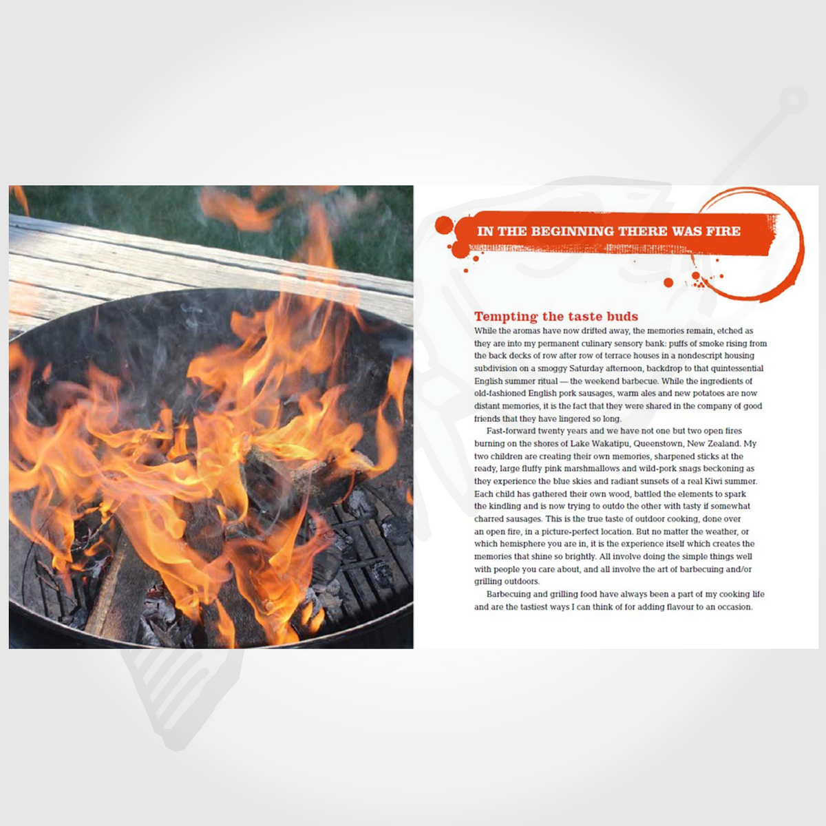 Kiwi Sizzler Portable BBQ Cook Book